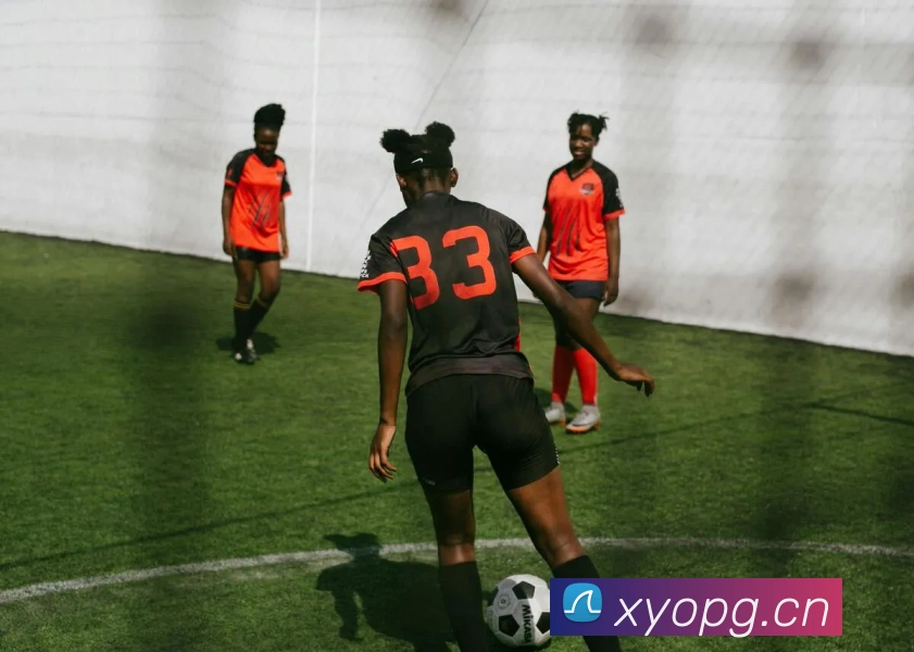 leyu乐鱼在线体育服务体系